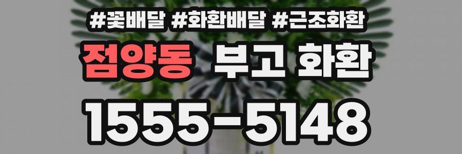 점양동 부고 화환