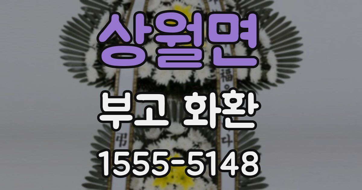 상월면 부고 화환