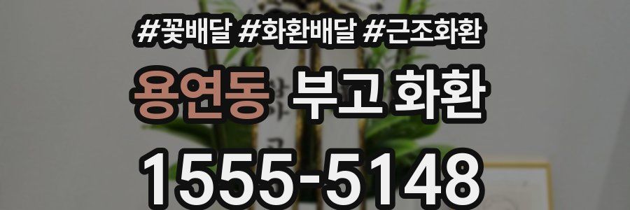 용연동 부고 화환