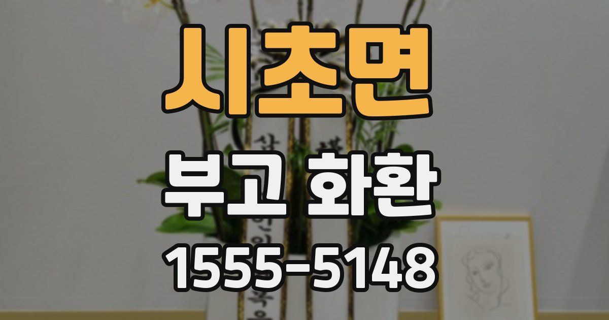 시초면 부고 화환