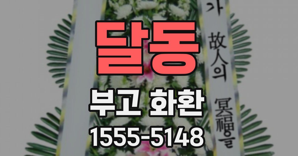 달동 부고 화환