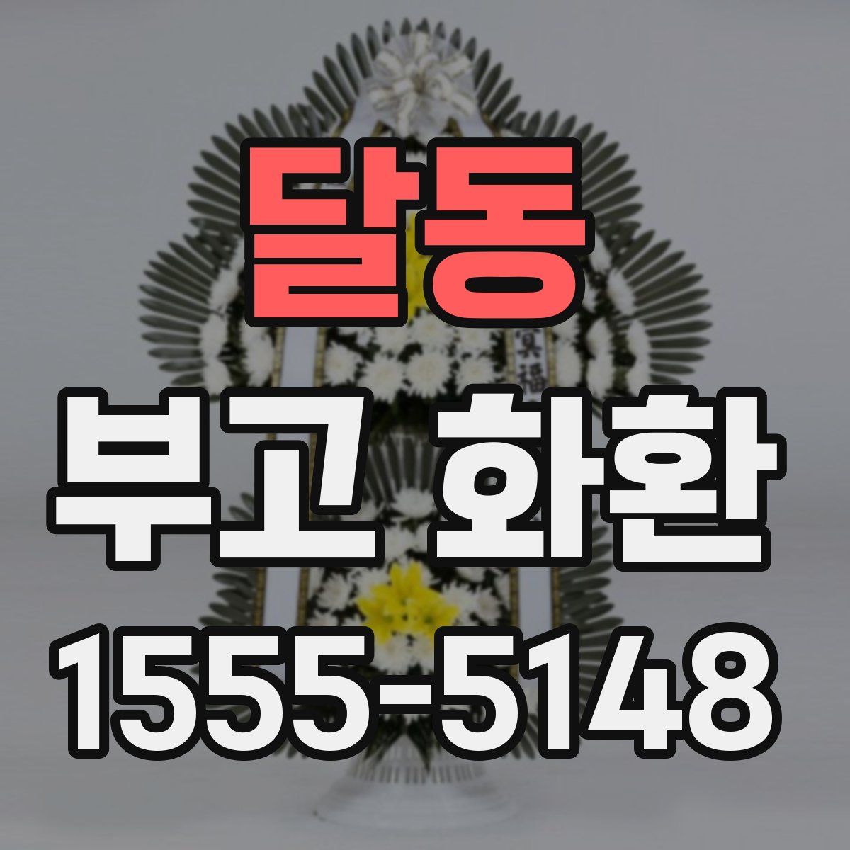 달동 부고 화환