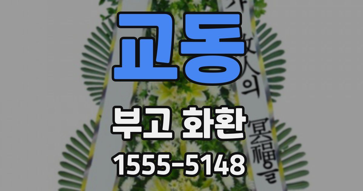 교동 부고 화환
