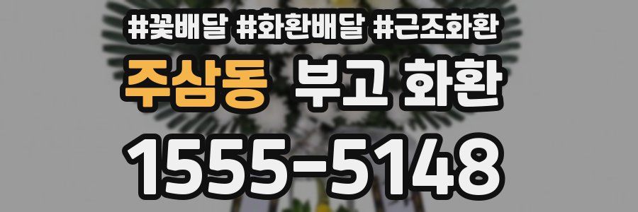 주삼동 부고 화환