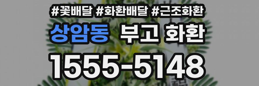 상암동 부고 화환