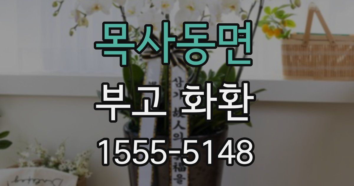 목사동면 부고 화환