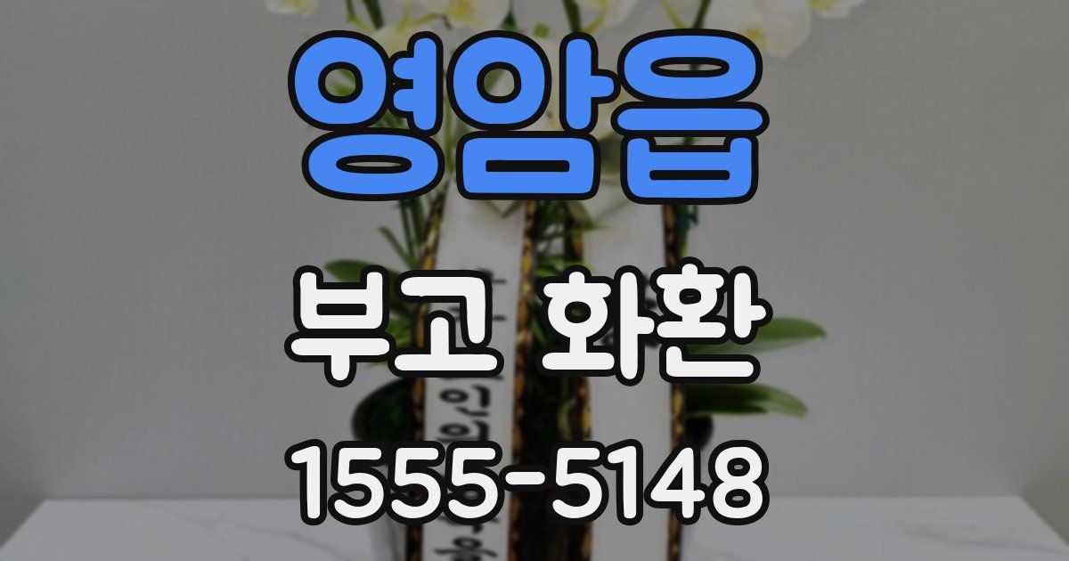 영암읍 부고 화환
