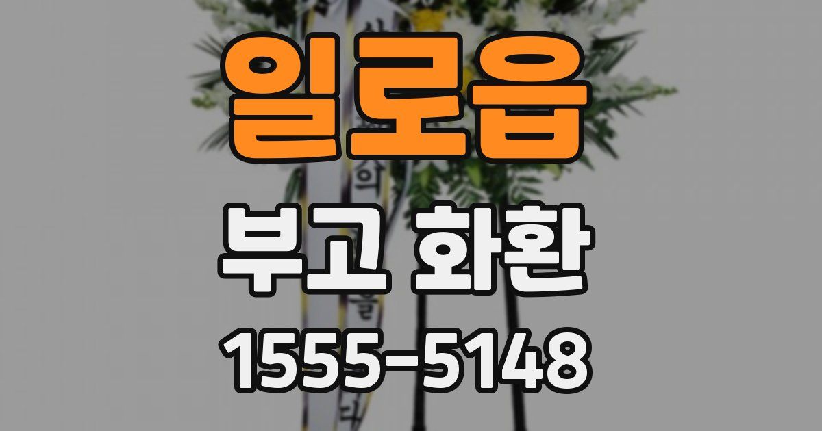 일로읍 부고 화환