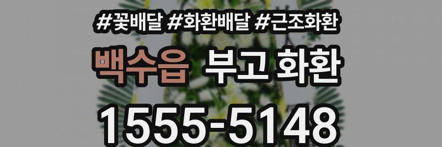백수읍 부고 화환