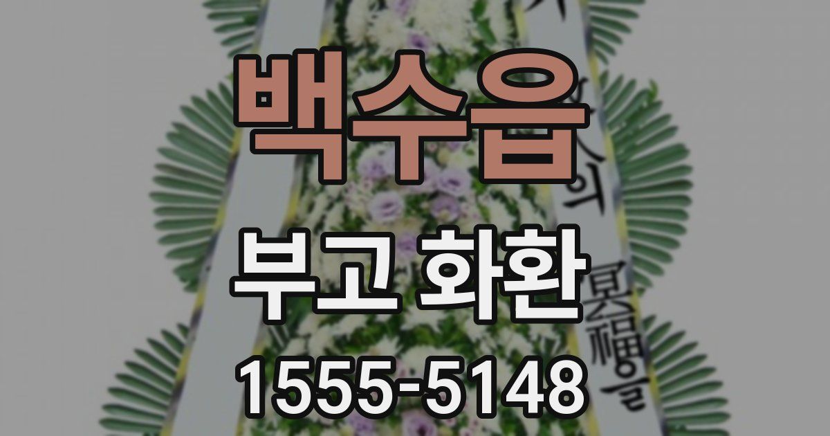백수읍 부고 화환