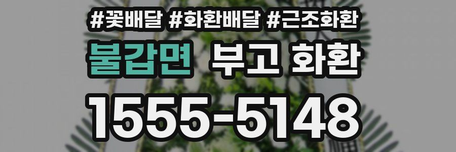 불갑면 부고 화환