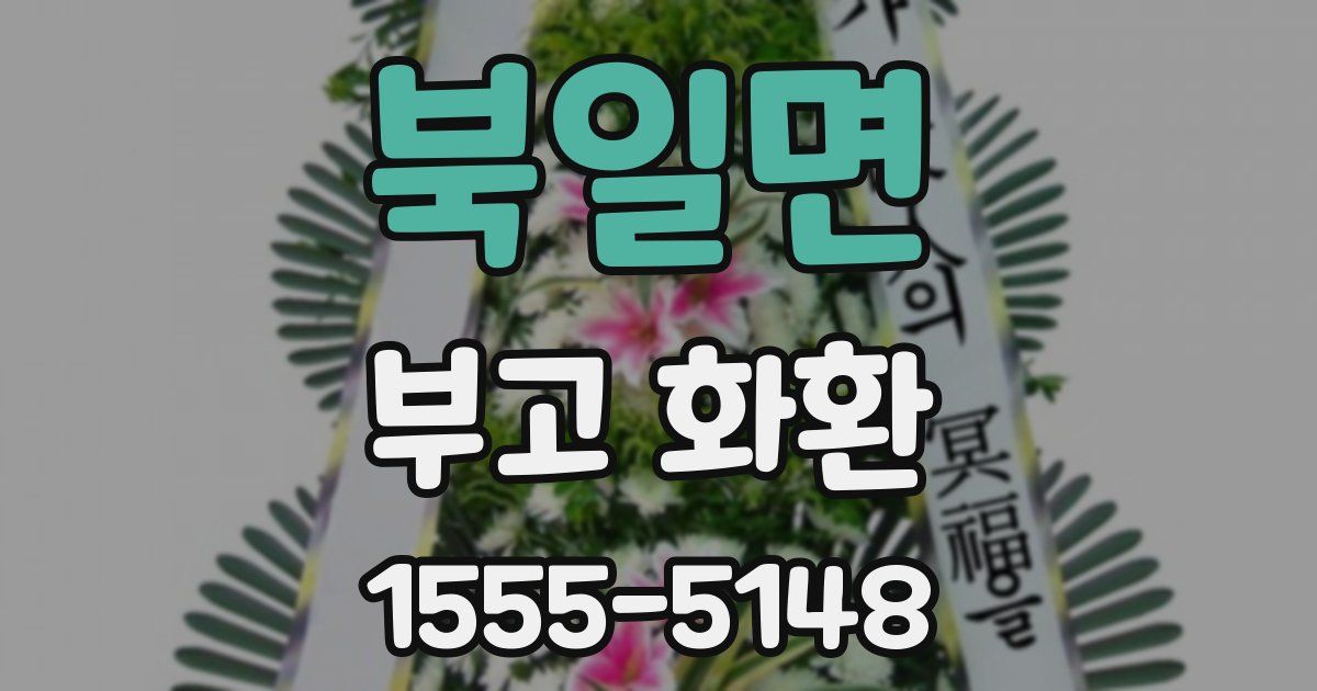 북일면 부고 화환
