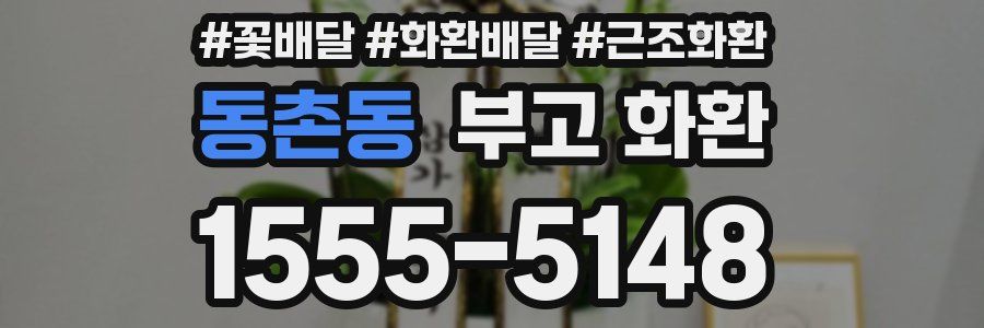 동촌동 부고 화환