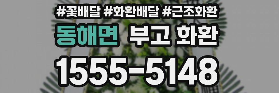 동해면 부고 화환