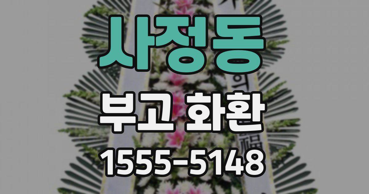 사정동 부고 화환
