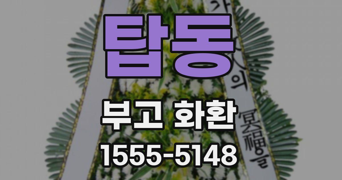 탑동 부고 화환