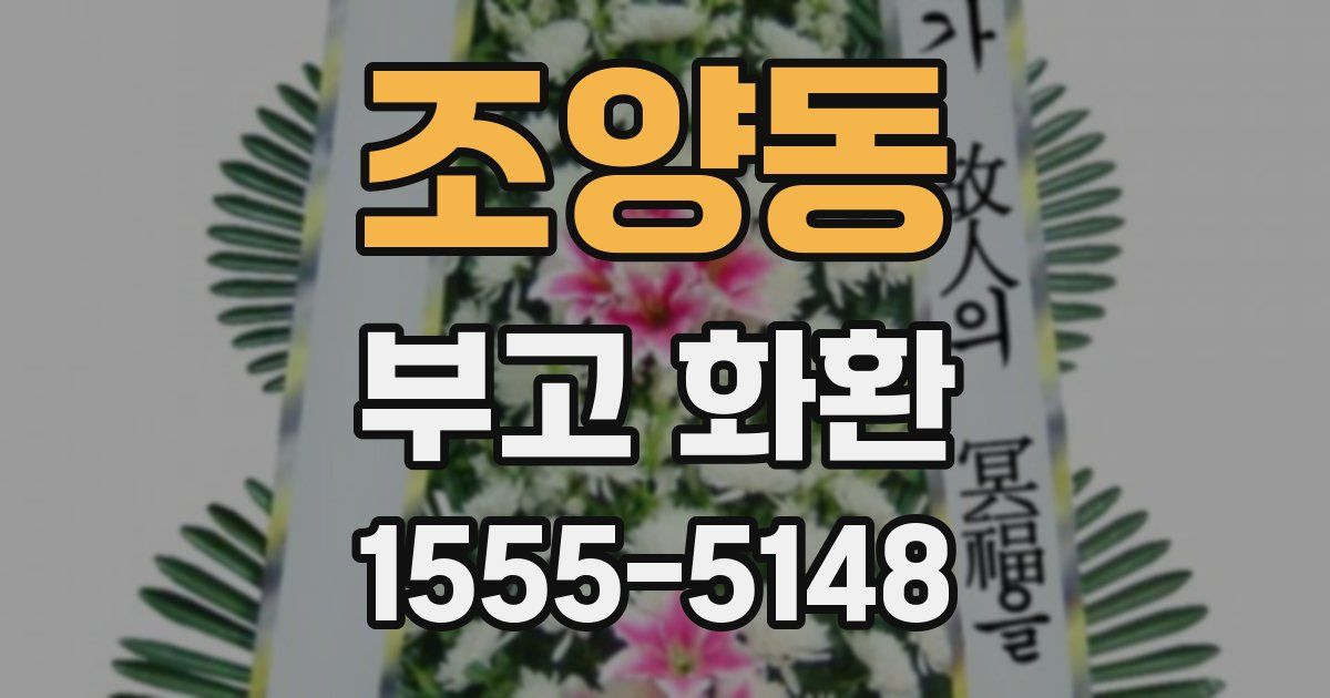 조양동 부고 화환