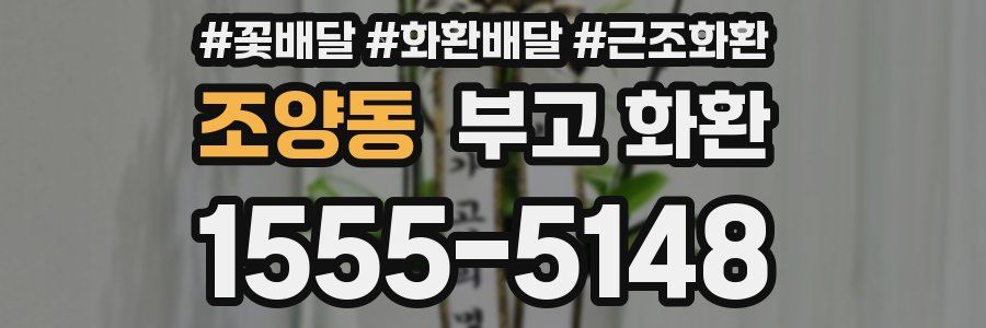 조양동 부고 화환