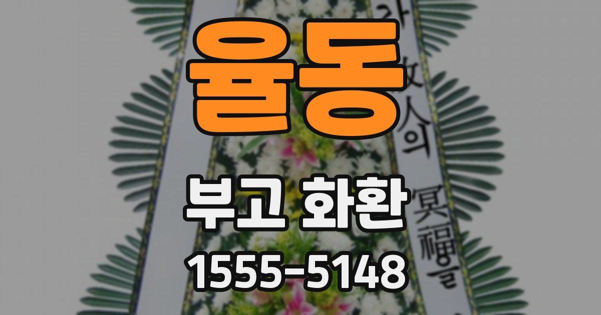 율동 부고 화환