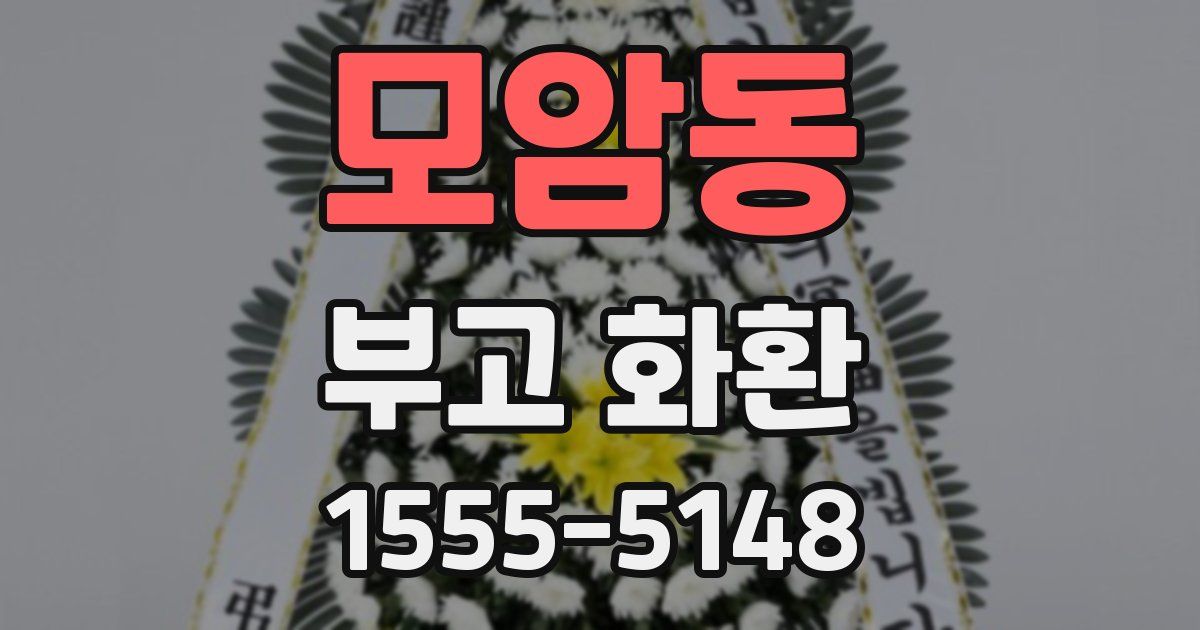 모암동 부고 화환