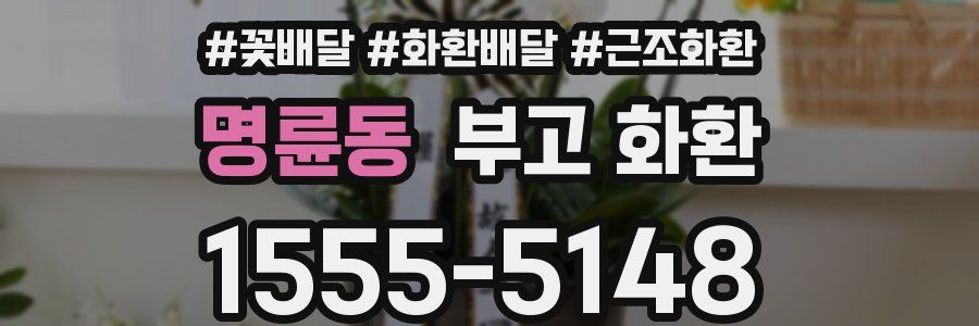 명륜동 부고 화환