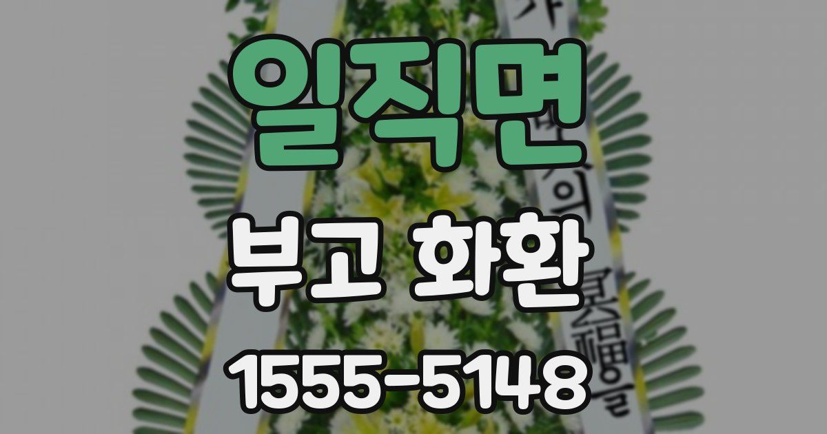 일직면 부고 화환