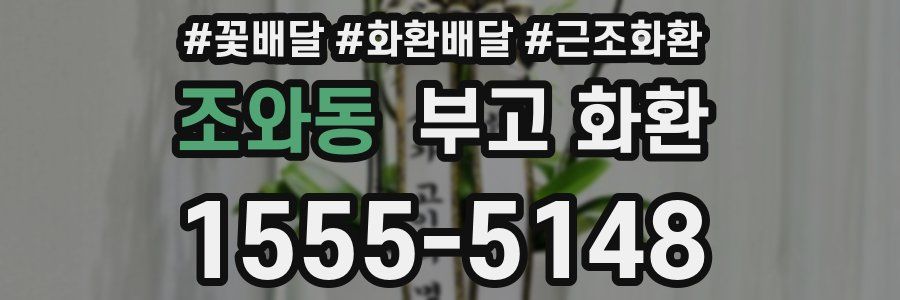 조와동 부고 화환