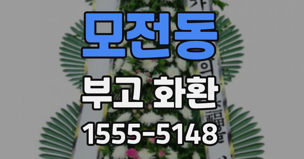 모전동 부고 화환