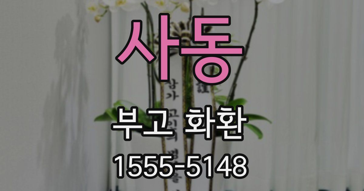 사동 부고 화환