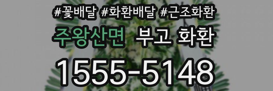 주왕산면 부고 화환