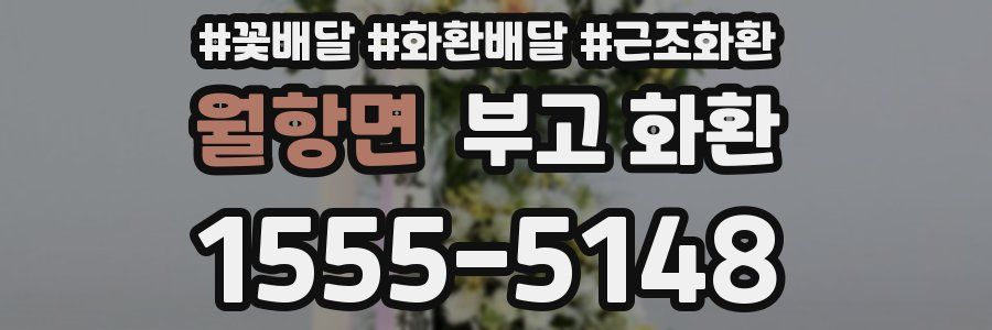 월항면 부고 화환