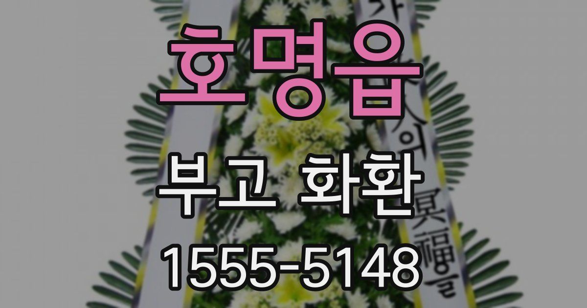 호명읍 부고 화환