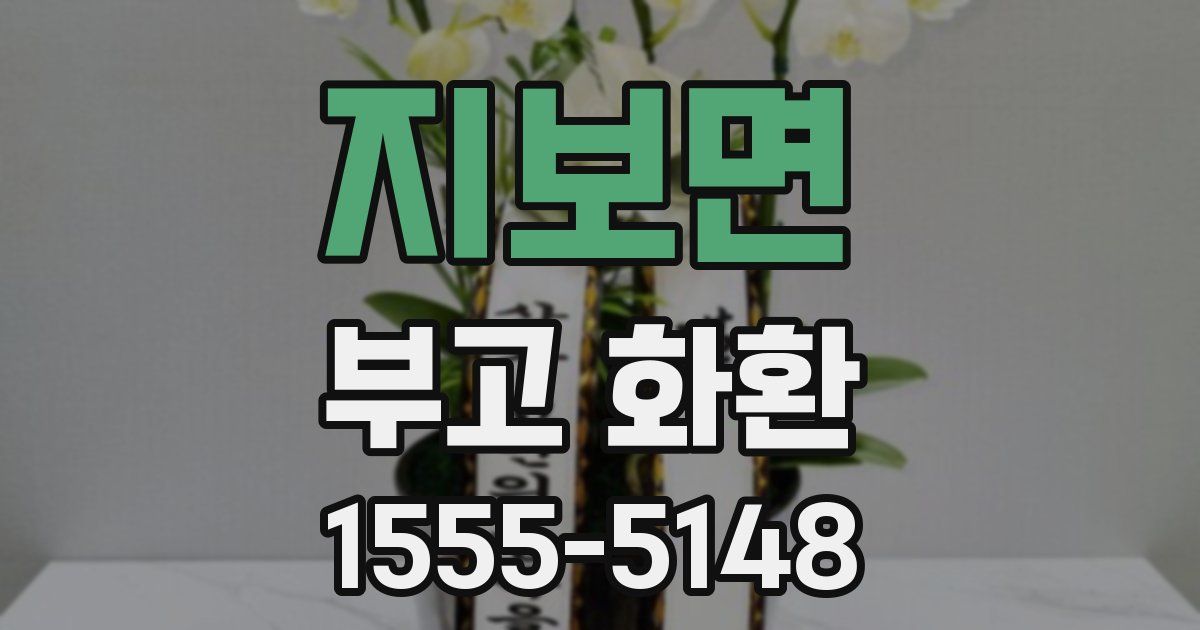 지보면 부고 화환