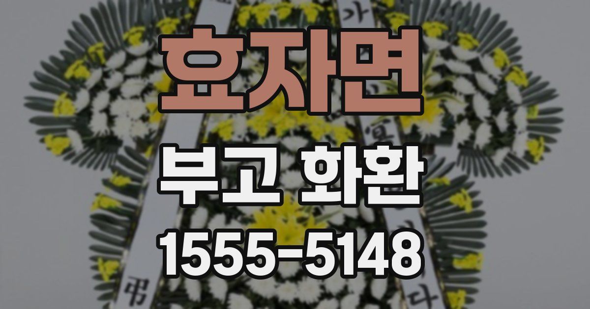 효자면 부고 화환