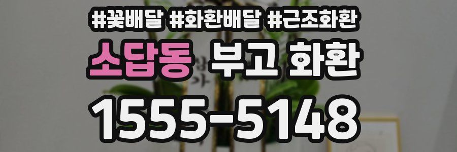 소답동 부고 화환