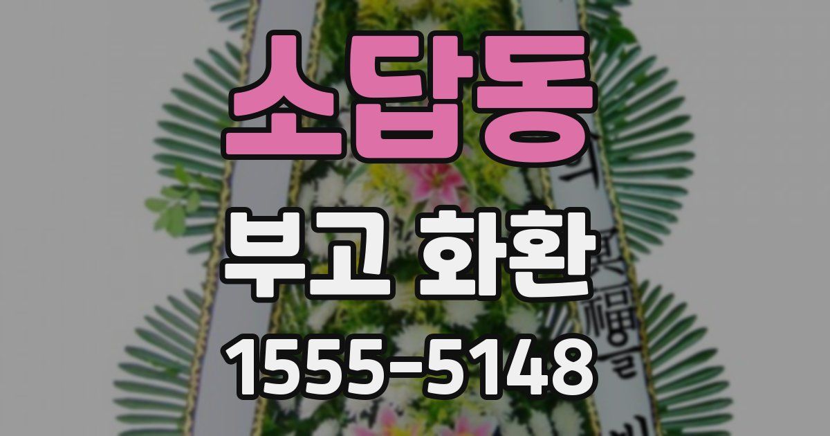 소답동 부고 화환