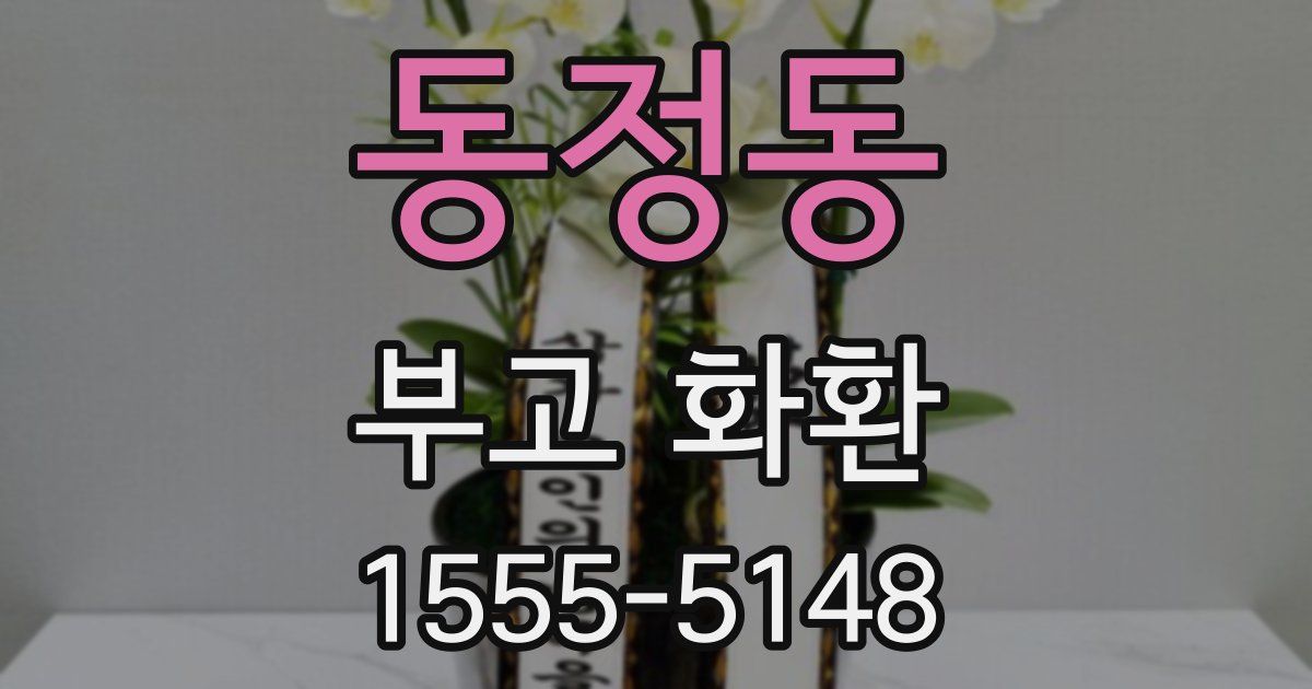 동정동 부고 화환