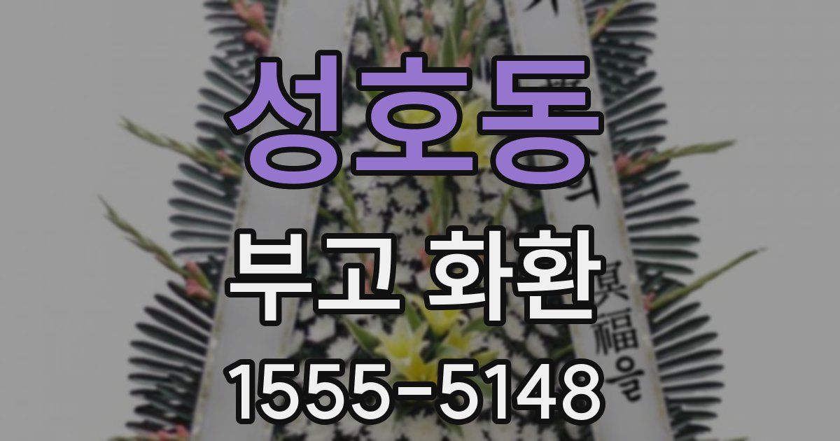 성호동 부고 화환