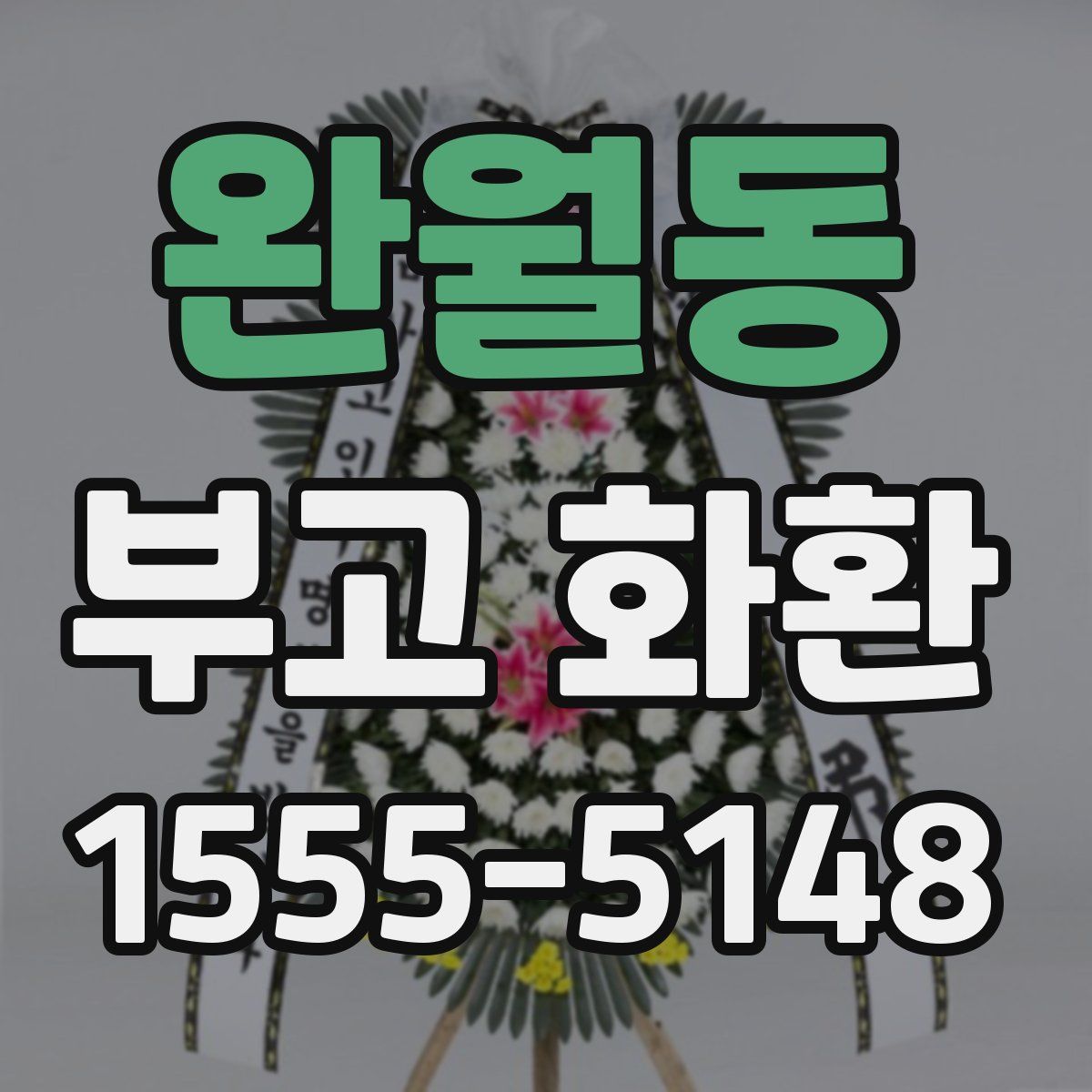 완월동 부고 화환
