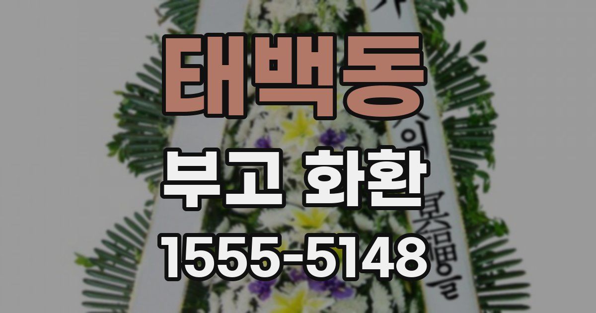 태백동 부고 화환