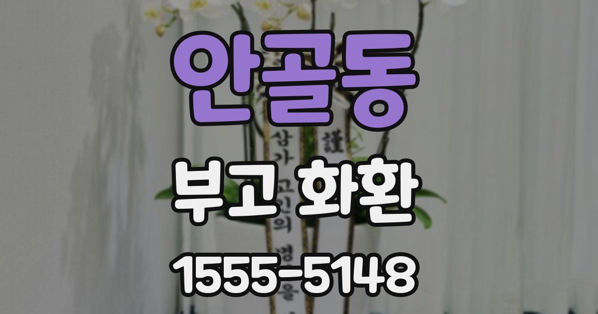 안골동 부고 화환