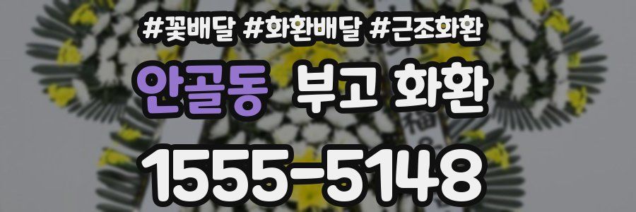 안골동 부고 화환