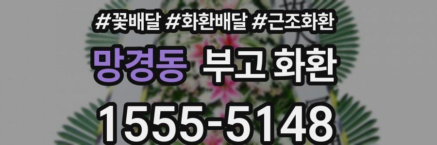 망경동 부고 화환