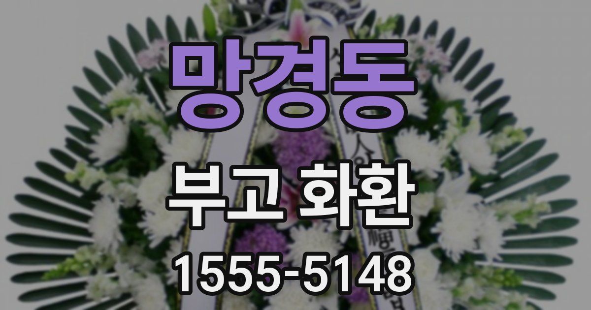 망경동 부고 화환