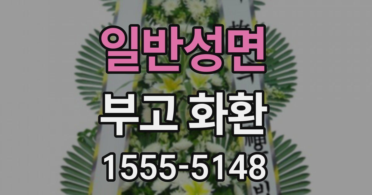 일반성면 부고 화환