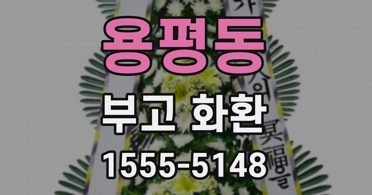 용평동 부고 화환