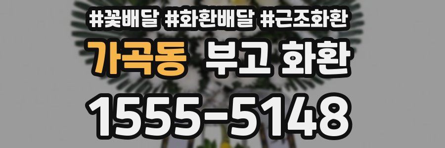 가곡동 부고 화환