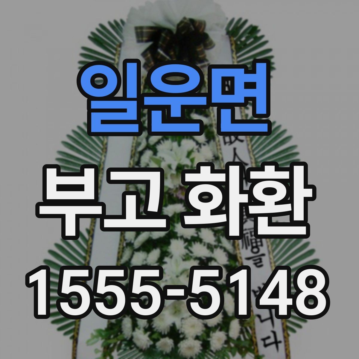 일운면 부고 화환 화분형과 일반형 차이