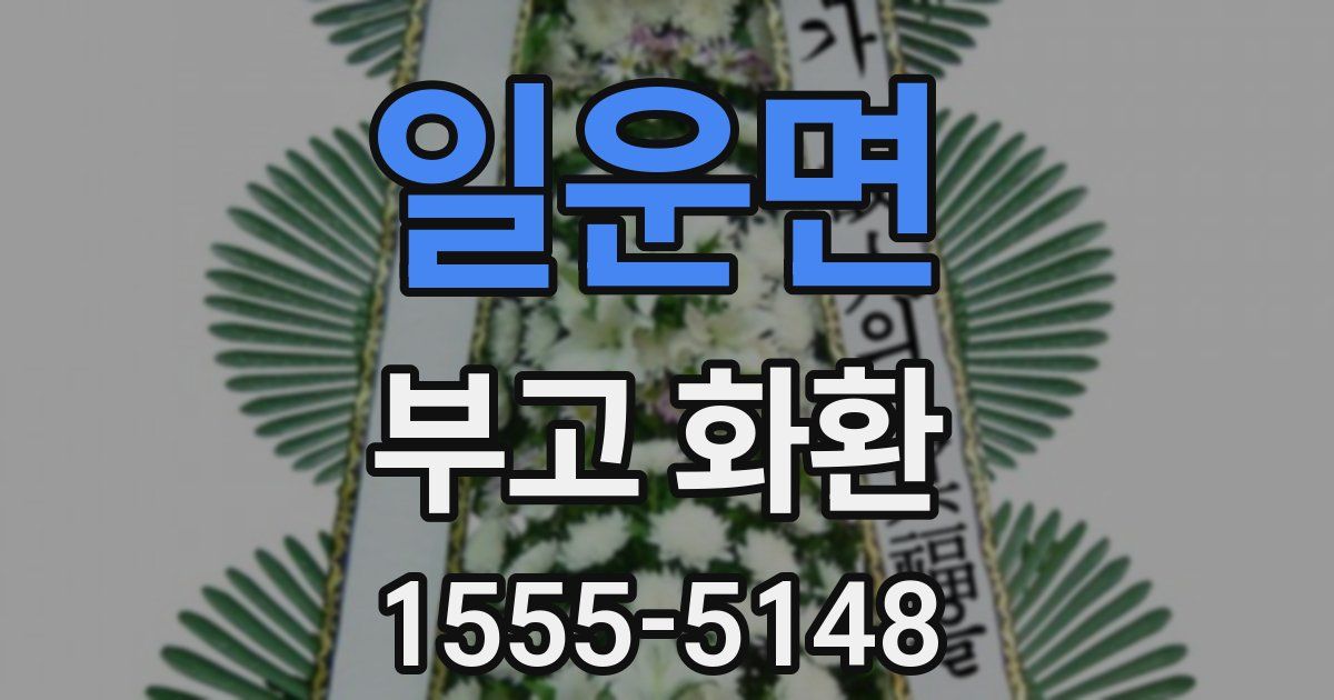 일운면 부고 화환