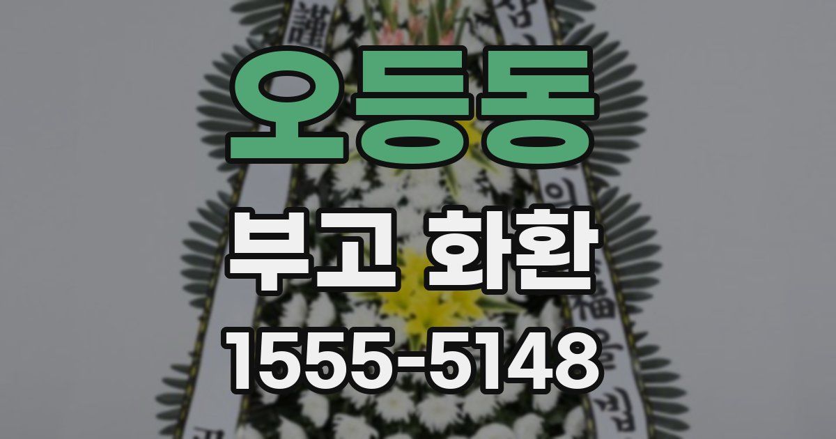 오등동 부고 화환
